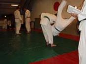 P1010076.JPG